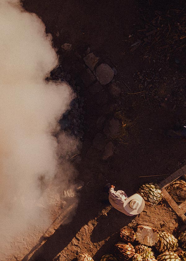 Mezcal production